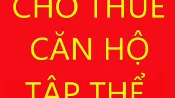 Cho thuê căn hộ tập thể tầng 1, nhà 103 ngõ 32 phố Hào Nam - Đống Đa