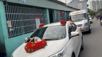 Cho thuê xe hoa, xe đi tỉnh, công tác 24/24 Tphcm+ các tỉnh 24h.