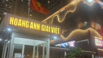 Cho thuê căn duplex Chung cư Hoàng Anh Giai Việt 856 Tạ Quang Bửu!