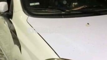 Daewoo Gentra 2008 Trắng sữa