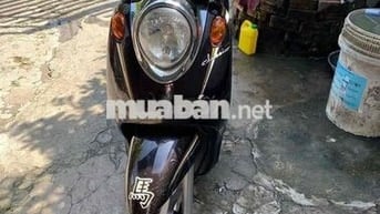 Mio classico zin bstp