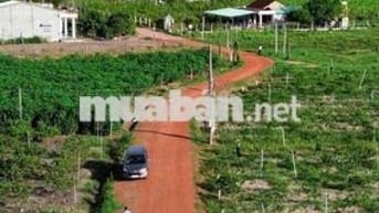 Sản Phẩm Đẹp Gần Khu Du Lịch Núi Bà