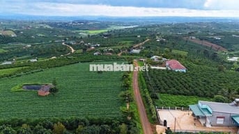 BÁN LÔ ĐẤT 1000m²  – TÂN HÀ, LÂM HÀ
Giá chỉ 750 triệu