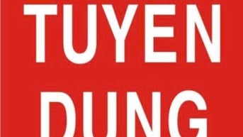 🔊🔊🔊LOA,LOA, LOA.CẦN TUYỂN GẤP NHÂN VIÊN ĐÓNG GÓI QUÀ GIÁNG SINH 