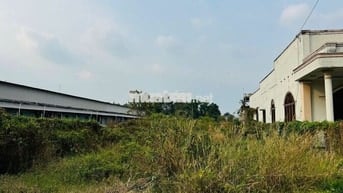 ALO ALO !!!LÔ ĐẤT MẶT TIỀN BÙI THỊ HE VỊ TRÍ ĐẸP GIÁ NGỘP ,SHR