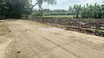 Bán 2000 m2 đất trồng cây lâu năm sát bên chợ kỳ Son đường Đan 4 m