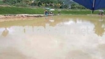 Bán Quán Nhậu Hồ Câu Dịch Vụ Vườn Sầu Riêng thu Hoạch