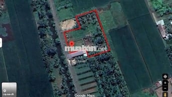 THỔ CƯ & ĐẤT TRỒNG CÂY GÒ CÔNG TÂY