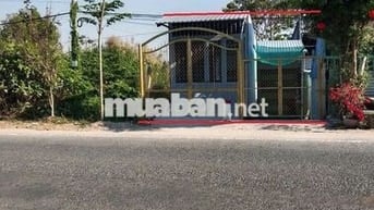 Mặt Tiền Tỉnh Lộ 944 cách phà an hòa 3km - cách chợ cái nai 700m