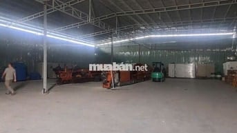 Kho ở Đường Gò Ô Môi cần cho thuê gấp diện tích 240m2 có pccc