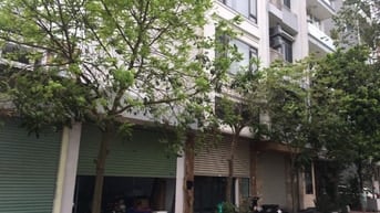 Bán đất liền kề Dương Nội giá đầu tư: Diện tích 50m2, giá 11 tỷ