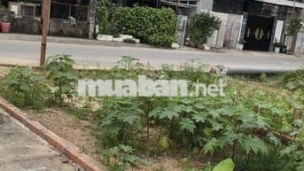 Chỉ còn 1 lô - Đất mặt tiền Trinh Đường 80m² – giá 3 tỷ 6