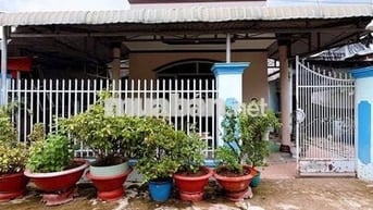 Cần bán gấp căn nhà ở Đ. Hồ Văn Tắng , Củ Chi 188m2 SHR giá 1 tỉ 100tr