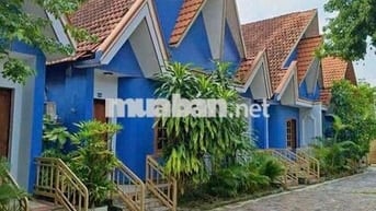 Căn hộ Mini gần Đại Học Thủ Dầu Một full nội thất Wiffi miễn phí