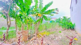 Bán đất 450 m2 gần cầu Đầu Sấu đường 3/2