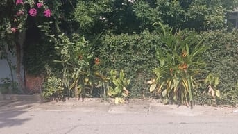 Bán Đất - Đông Bài( Sóc Sơn) - Đường Thông -120M2 Full Thổ Cư -6, 3Tỷ 