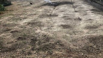 Chính chủ cần bán lô đất đẹp 433m2 tại xã Tam Anh (TP. Đà Nẵng mới)