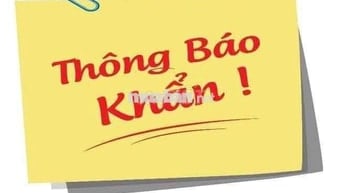 cần bán Wave alpha bock đen bô nhỏ