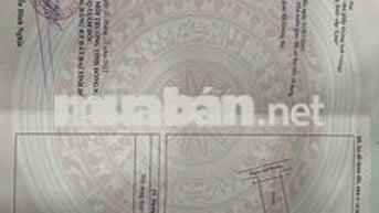 Tôi cần bán nhà cấp 4, 300m2 thổ cư.