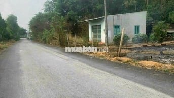 cần bán lô đất thổ cư đường nhựa cách tỉnh lộ 8 chỉ 100m.Dt 10x40m