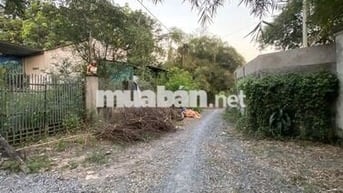 ĐẤT THỔ ĐẸP ĐƯỜNG XE HƠI 1/ NGUYẼN THỊ NÊ - PHÚ HÒA ĐÔNG - CỦ CHI