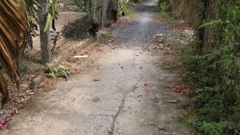 2tỷ3 sở hữu nhà đất diện tích 536m2, full thổ cư