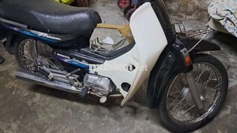 Dream lùn Quận 12