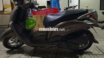 Nozza 2015 mình không