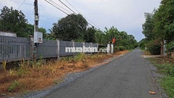 3384M2 ĐẤT THỔ CƯ -30M MT ĐƯỜNG NHỰA - CẦN CHUYỂN NHƯỢNG !