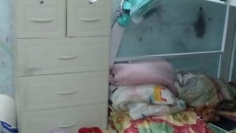 NHÀ CHO THUÊ NGUYÊN CĂN HẺM XE HƠI