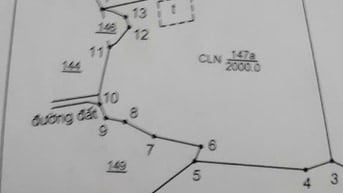 Bán Đất Xã Thanh Sơn, H.ĐQuán, T.Đồng Nai Dt: 2000 m2 350 triệu