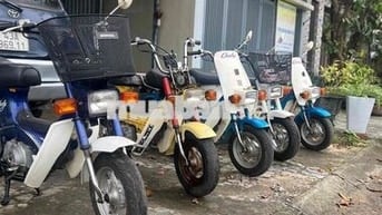 Chaly 50cc ko cần bằng lái, sơn zin đồ zin bít xe.