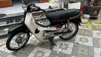 Dream không đi đến