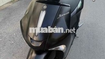 Yamaha Janus xinh đẹp