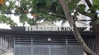 🏡 Cho thuê nhà nguyên căn 5x18m Nguyễn Ảnh Thủ, gần Ngã ba Bầu