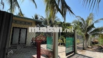 Bán vườn có nhà tại Phường Vĩnh Mỹ, Châu Đốc