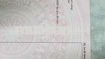 đất đồi cao đẹp bán gấp về quê