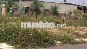 Bán lô đất mặt tiền đường nhựa gần kcn Bàu xéo