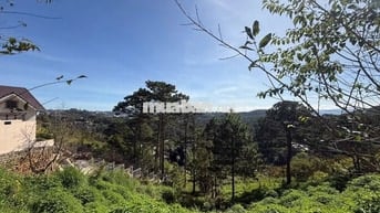 Chính chủ bán đất 1091m2 view đồi thông tại Đường 3/4, Đà Lạt