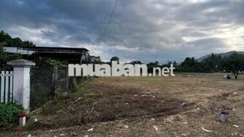 Chủ bán đất full thổ Cam Lâm gần KDT mới Cam Lâm, nằm ngay quốc lộ 1A