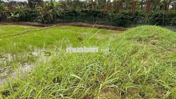 ĐẤT ĐẸP QUỐC LỘ 29 (PHÚ YÊN- ĐĂK LĂK)