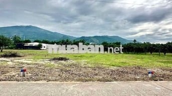 Bán đất vị trí siêu đắc địa Suối Tân - Trung tâm của 4 kđt mới