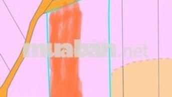 Đất ở 1 sào, 100m TC Xuân Trường 1.250t