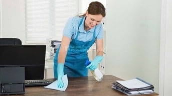 Bách hóa tổng hợp cần tuyển gấp Nhân viên tạp vụ 