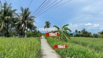 Đất thổ cư 115m² giá 180 triệu cù lao Tân Phú Đông, ô tô vào tận nơi
