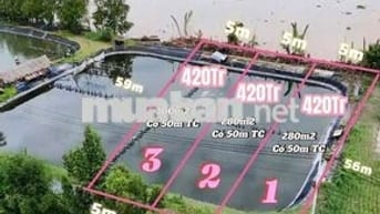 Đất view sông Tiền Giang 300m² có thổ cư, bao san lấp đẹp, giá 420Tr