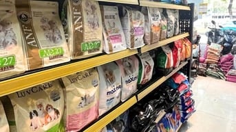 BÁCH HÓA TỰ CHỌN CẦN TUYỂN NHÂN VIÊN BÁN HÀNG DỊP TẾT 