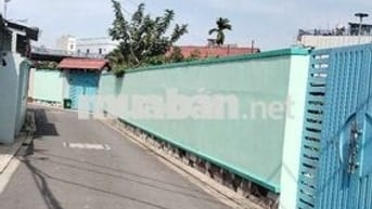 bán đất tặng nhà an phú đông giáp vườn lài