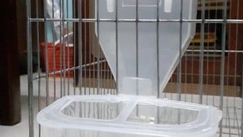 400k/100 gói thuốc trừ sâu Đại Bàng Mỹ 