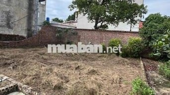 chính chủ cần bán dat đức hiệp , xuân lâm , bắc ninh .